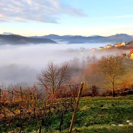 Apartment Gold Wine Estate