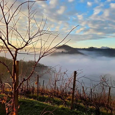 Gold Wine Estate Apartamento