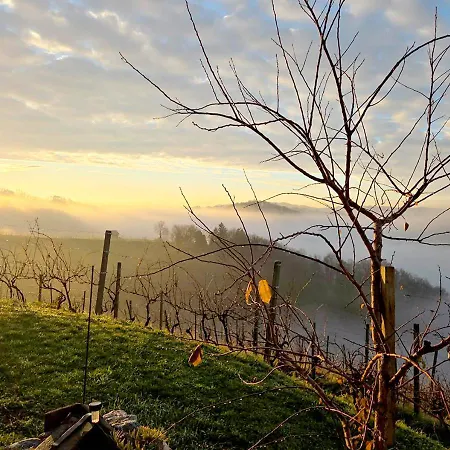 Gold Wine Estate * Podlehnik