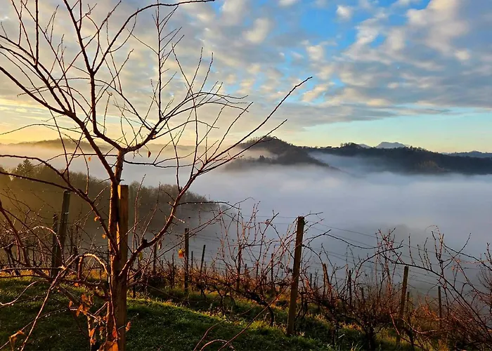 Gold Wine Estate شقة