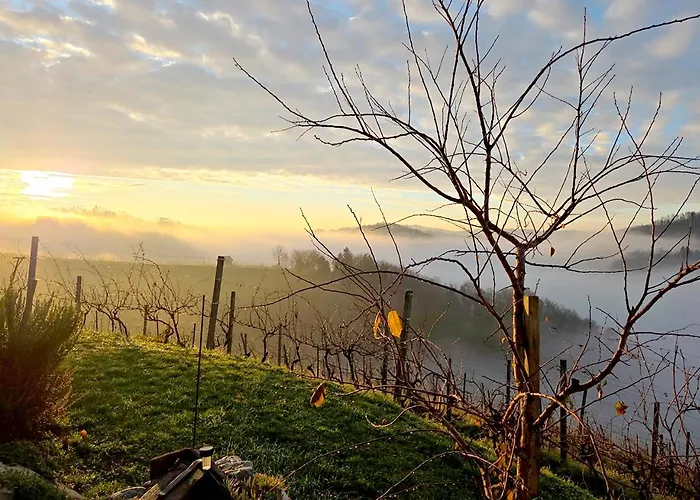 Gold Wine Estate * Podlehnik